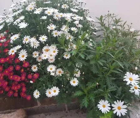 Bed & Breakfast Mari En *