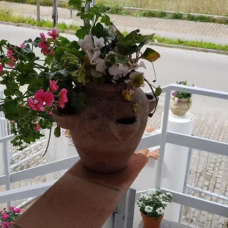 Mari En * Castel Volturno